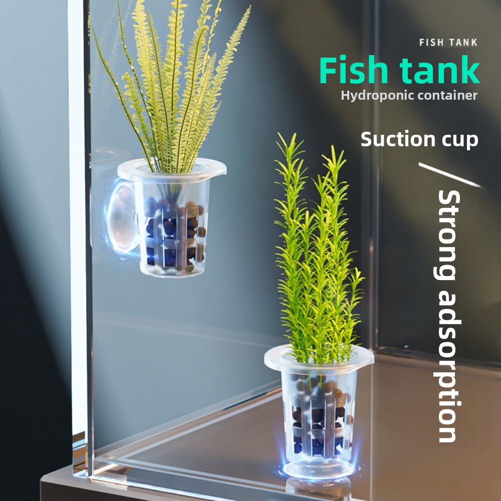 Aquarium Plants Live - 10個入り透明植物水耕栽培ポット、吸盤付きプラスチック製水草育成ポット、水槽植栽カップ