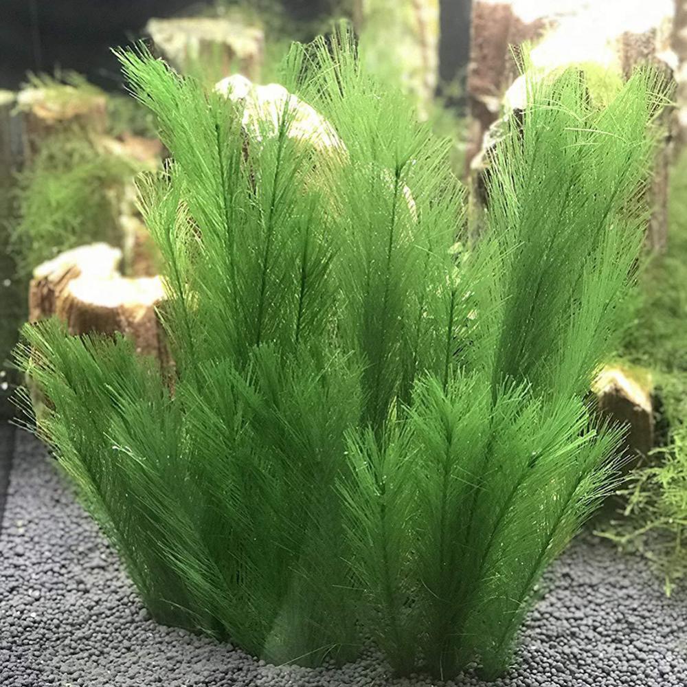 Aquarium Plants Live - 1/3 個 28/40 センチメートル水族館の水槽人工水草水生植物造園装飾水中植物水雑草飾り
