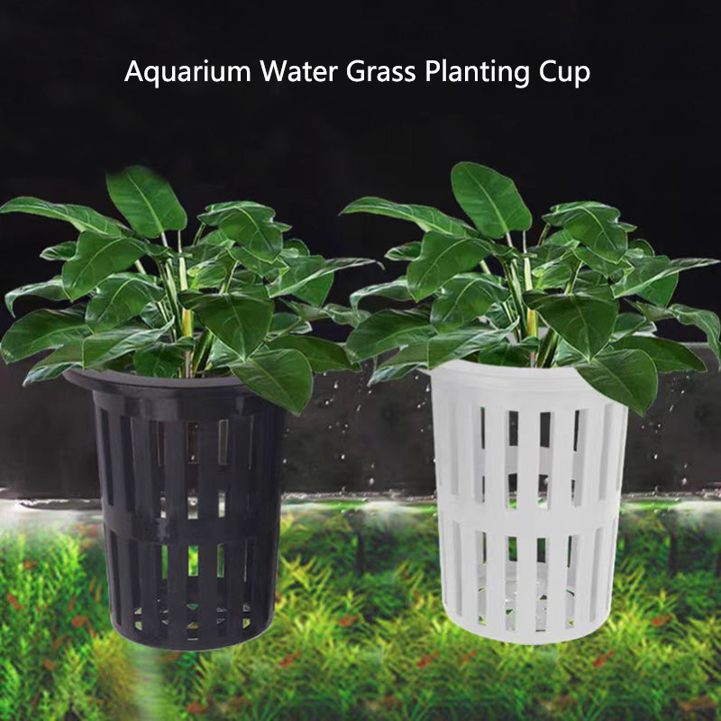 Aquarium Plants Live - 1/3 個水族館植物バスケット壁掛け水耕吊りプランター水槽水生水植物ホルダー吊り下げフック付き