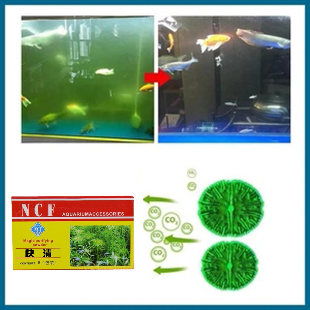 Aquarium Moss - 水族館の水浄化パウダー臭い除去藻類除去苔除去水槽水質浄化器淡水と海水用
