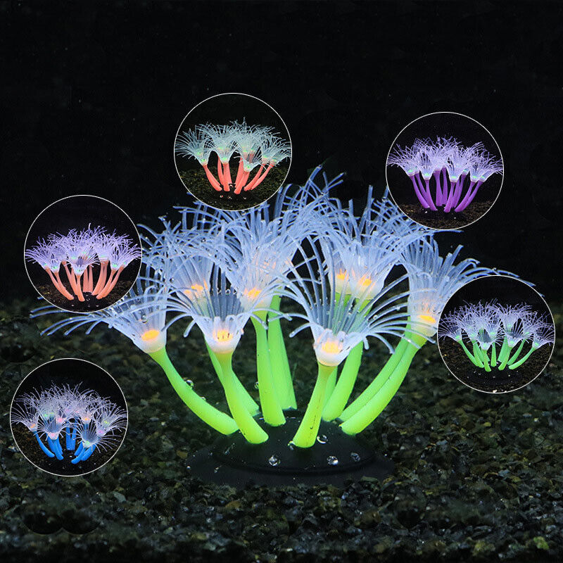 シリコン製光る景観人工魚タンク水槽蛍光サンゴひまわり海葵植物 - Aquarium Plants Live のレビューと価格