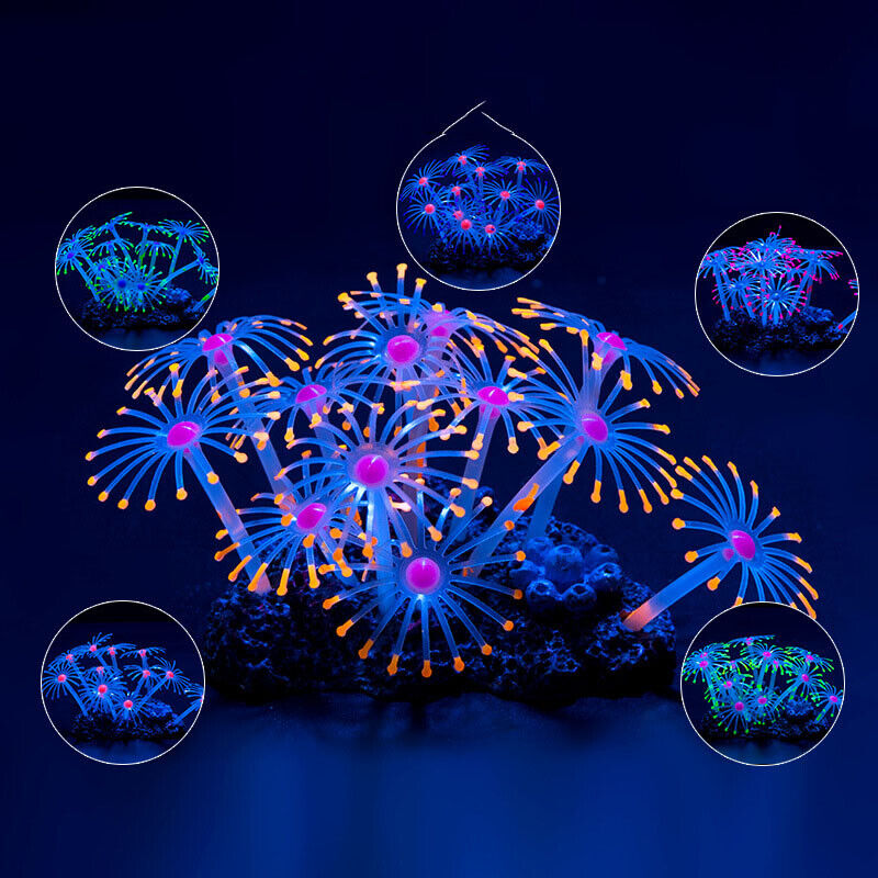 シリコン製光る景観人工魚タンク水槽蛍光サンゴひまわり海葵植物 - Aquarium Plants Live のレビューと価格