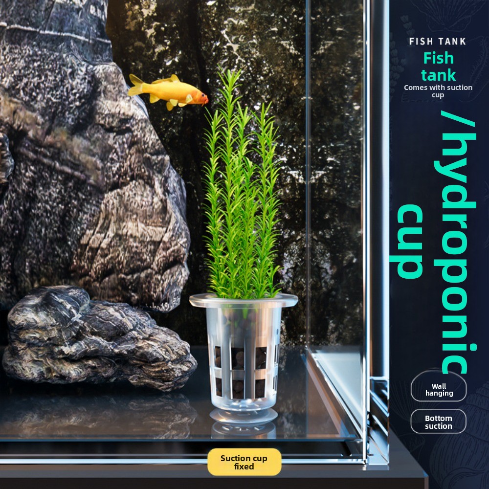 10個入り透明植物水耕栽培ポット、吸盤付きプラスチック製水草 - Aquarium Plants Live のレビューと価格