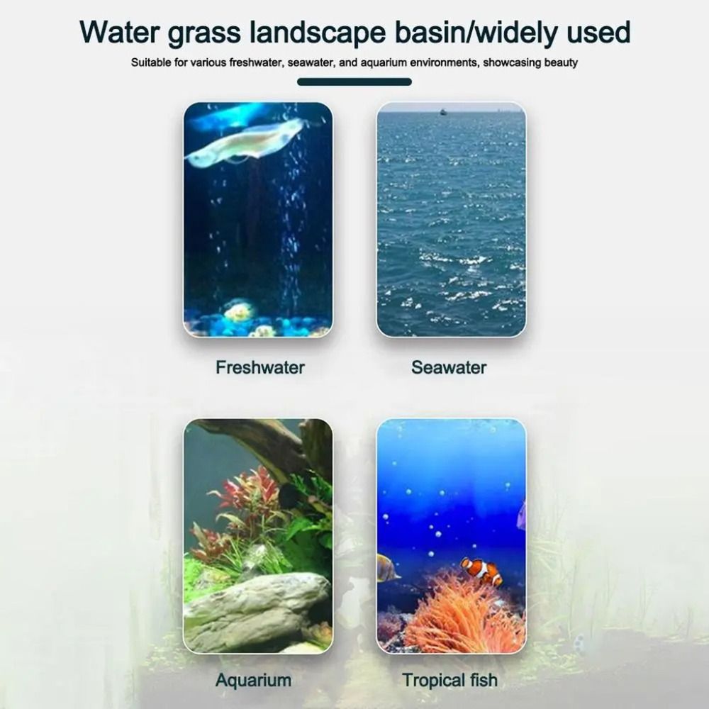 10個入り透明植物水耕栽培ポット、吸盤付きプラスチック製水草 - Aquarium Plants Live のレビューと価格