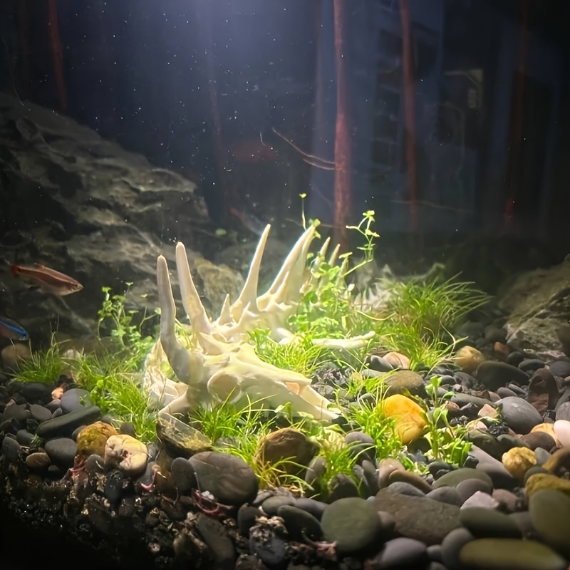 1個入り ドラゴン型魚骨飾り 水槽用 ドラゴンボーン化石オー - Aquarium Plants Live のレビューと価格