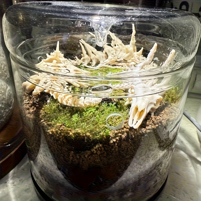 1個入り ドラゴン型魚骨飾り 水槽用 ドラゴンボーン化石オー - Aquarium Plants Live のレビューと価格
