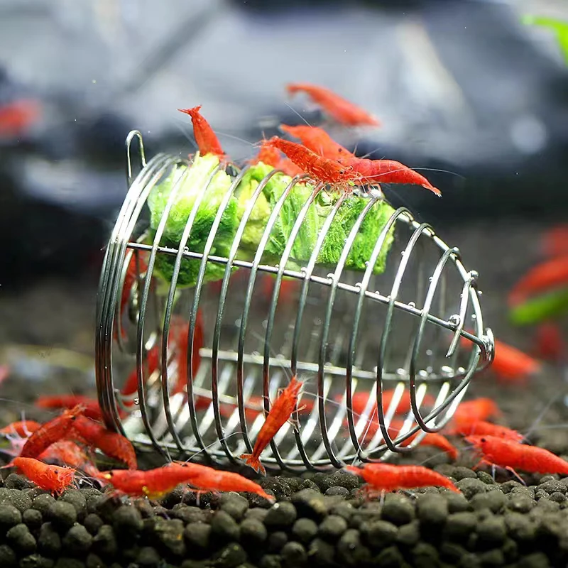 ステンレス鋼水族館小型釣り餌フィーダー水槽クリスタルエビドラ - Aquarium Fertilizer のレビューと価格