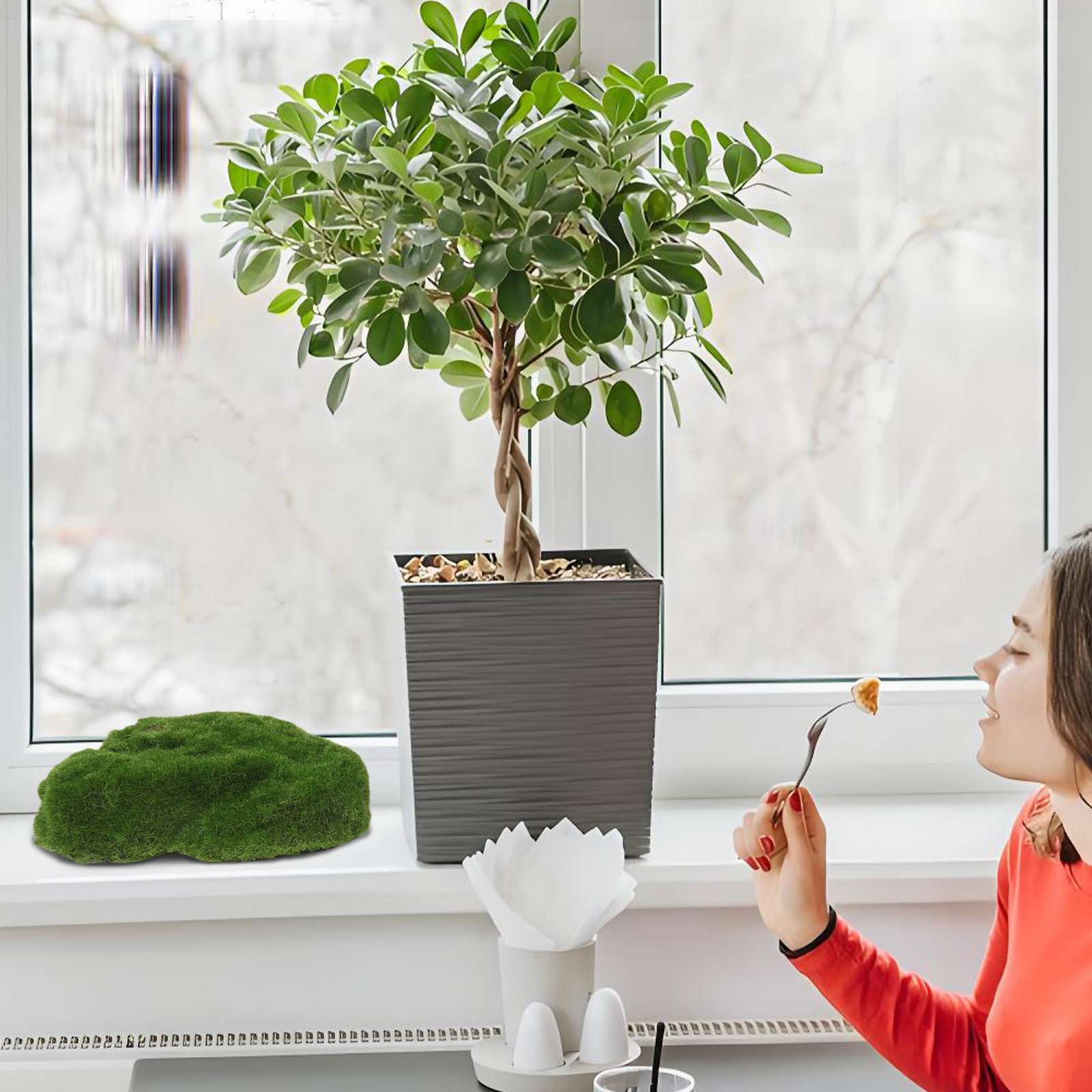 4個入り、リアルな人工苔石。家庭用装飾、棚、テーブル、テラリ - Aquarium Moss のレビューと価格