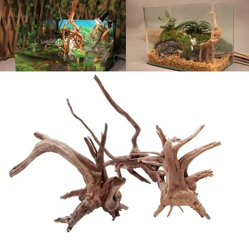 水族館、魚のタンク、爬虫類の根の植物、木の装飾、装飾アクセサ - Aquarium Plants Live のレビューと価格
