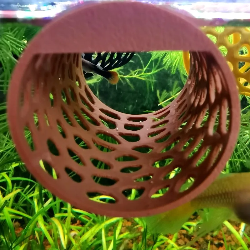 フローティングベタハンモックトンネル、エビハウスケーブ、小型 - Aquarium Plants Live のレビューと価格