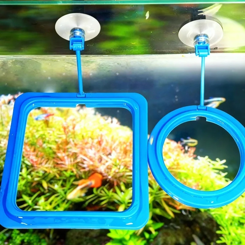 水槽用餌入れリング、水槽用フローティングフードトレイフィーダ - Aquarium Fertilizer のレビューと価格
