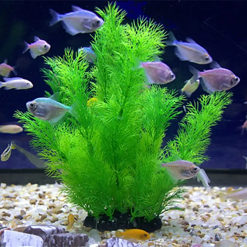 人工水族館の装飾植物水中水草水生プラスチック植物水槽水族館の - Aquarium Plants Live のレビューと価格