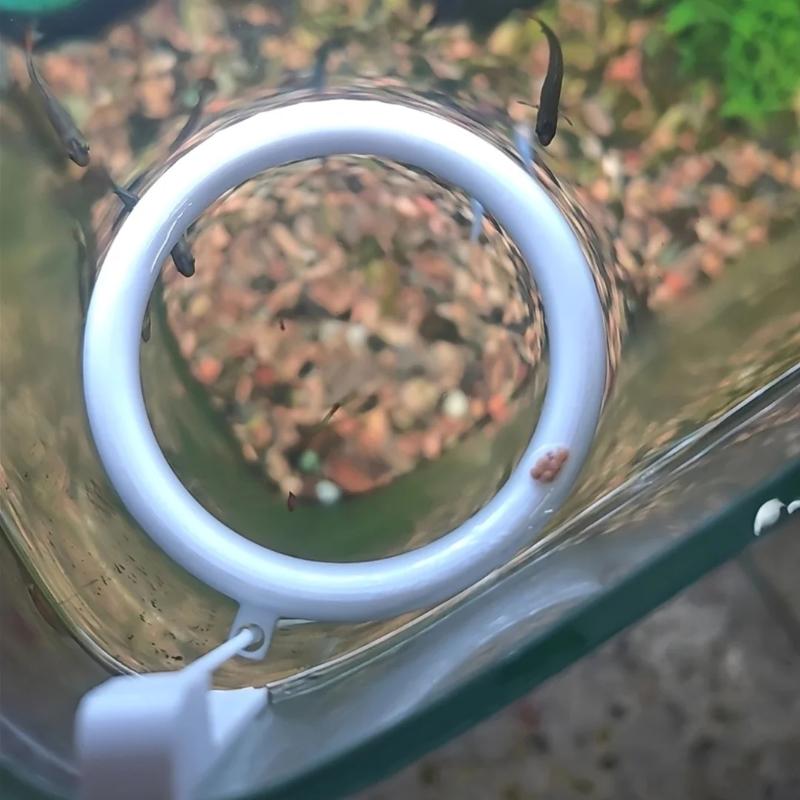 {QTG333} 1セット 3Dプリント製フローティング水槽 - Aquarium Fertilizer のレビューと価格