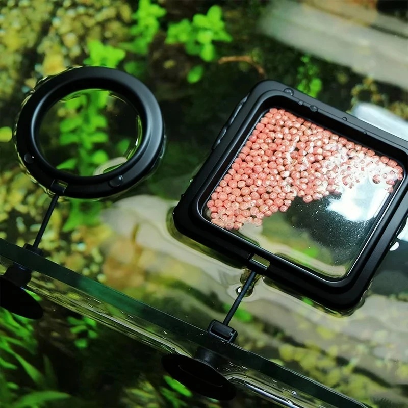 1/3個入り水槽用魚餌リング、水槽用ハート型フローティングス - Aquarium Fertilizer のレビューと価格