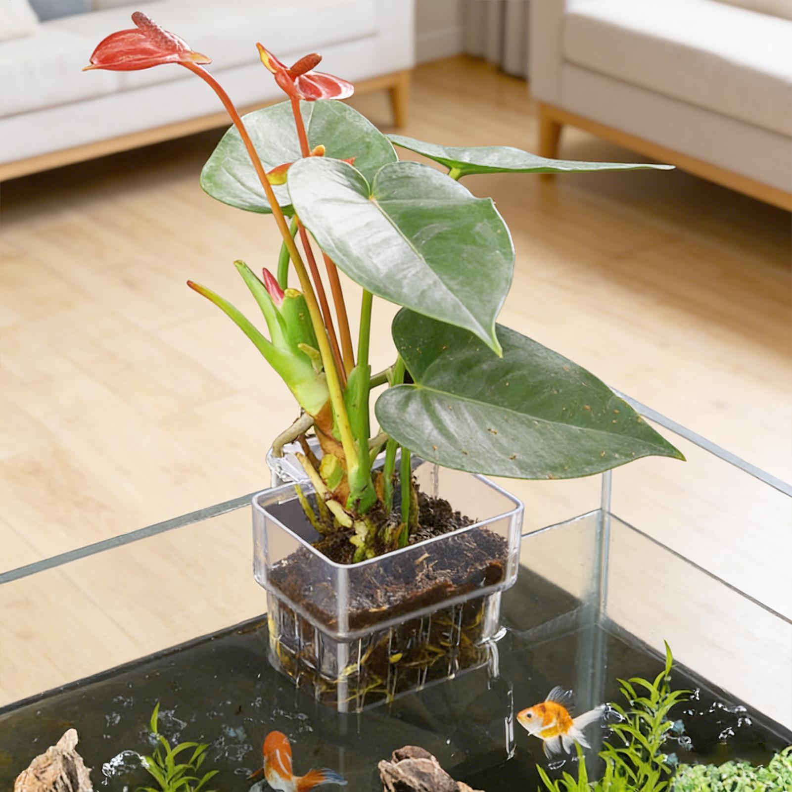 水槽植物バスケット透明水槽吊り下げ装飾ポット水生植物ホルダー - Plant Aquarium Pot のレビューと価格