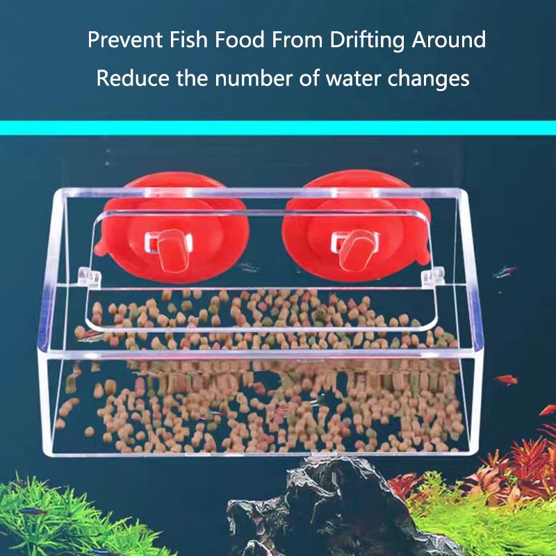強力な吸引カップ、水族館の授乳用リング、水槽ステーション、ア - Aquarium Fertilizer のレビューと価格