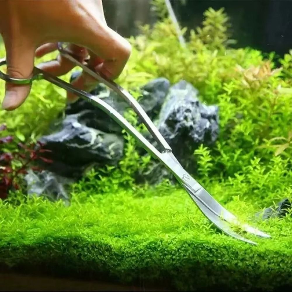 1個入り ステンレス製水槽用ハサミ 直線・曲線兼用 25cm - Planted Aquarium Cleaning のレビューと価格