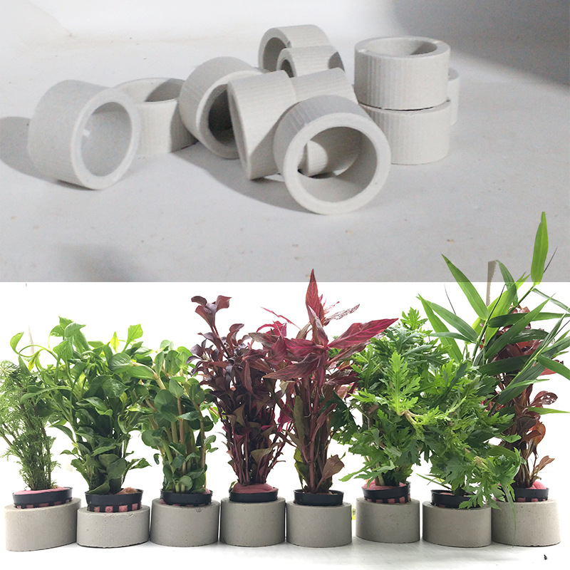 水槽装飾セラミックリング、水槽植物固定ポット、水玉水生植物、 - Plant Aquarium Pot のレビューと価格