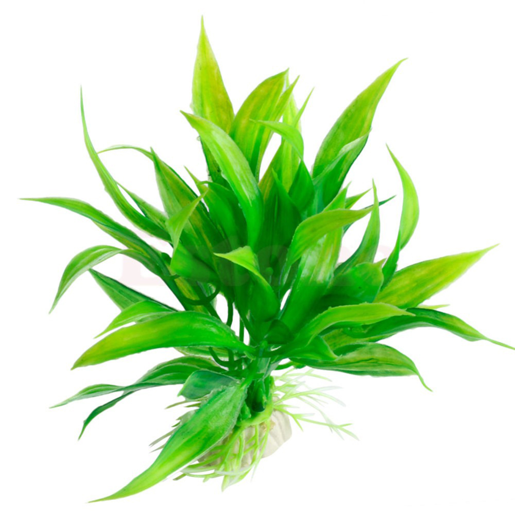 15センチメートル/10センチメートル水中人工水生植物装飾品 - Live Plant Aquarium のレビューと価格