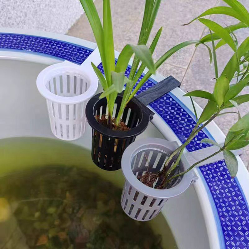 1/3 個水族館植物バスケット壁掛け水耕吊りプランター水槽水 - Aquarium Plants Live のレビューと価格