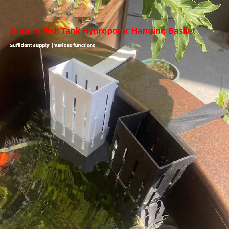 1/3 個水族館植物バスケット壁掛け水耕吊りプランター水槽水 - Aquarium Plants Live のレビューと価格