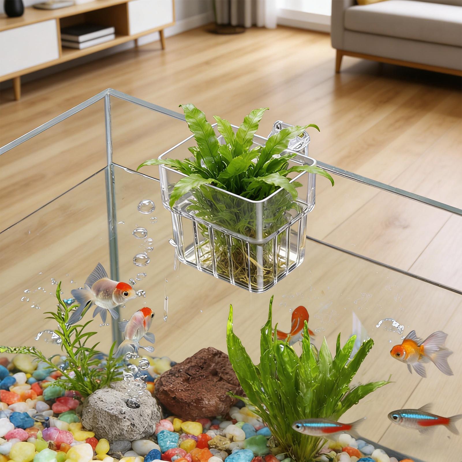 水槽用透明ハンガーポット 吊り下げ可能な水槽植物ホルダー 水 - Plant Aquarium Pot のレビューと価格
