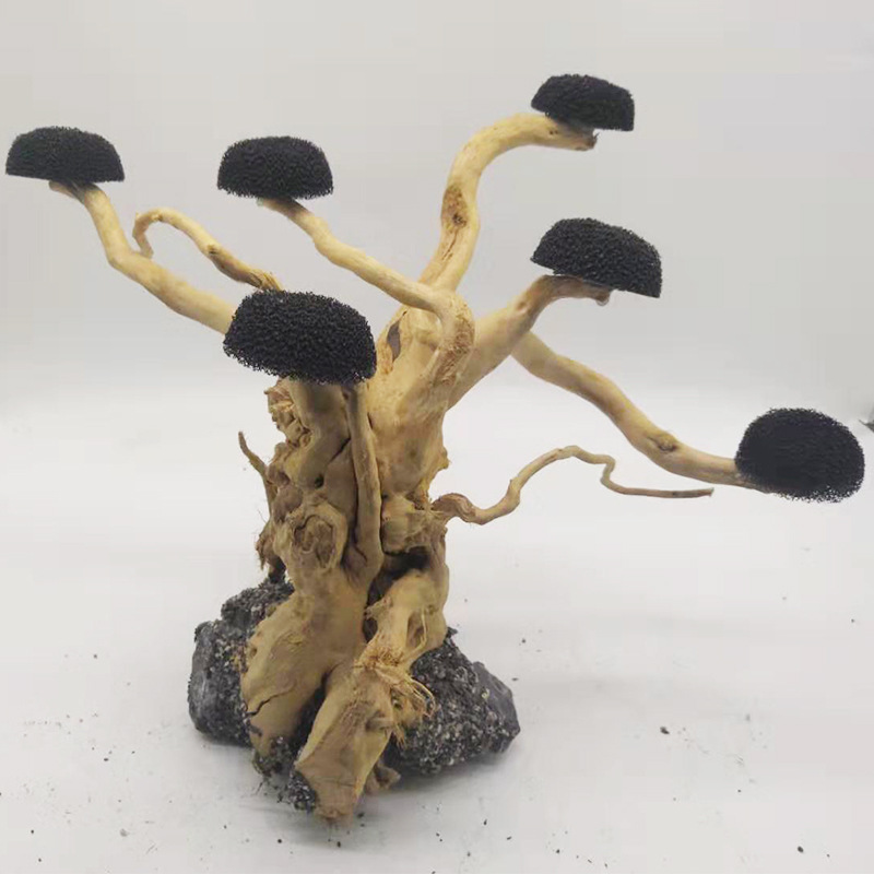 水槽装飾用流木飾り、水族館装飾、木工芸品、水槽装飾 - Aquarium Plant Substrate のレビューと価格