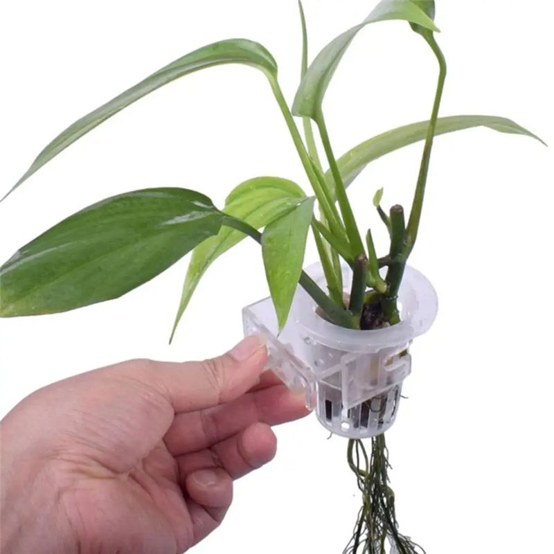 A7THK-2個入り 透明な水槽用プランターホルダー、高さ調 - Aquarium Plant Holder のレビューと価格