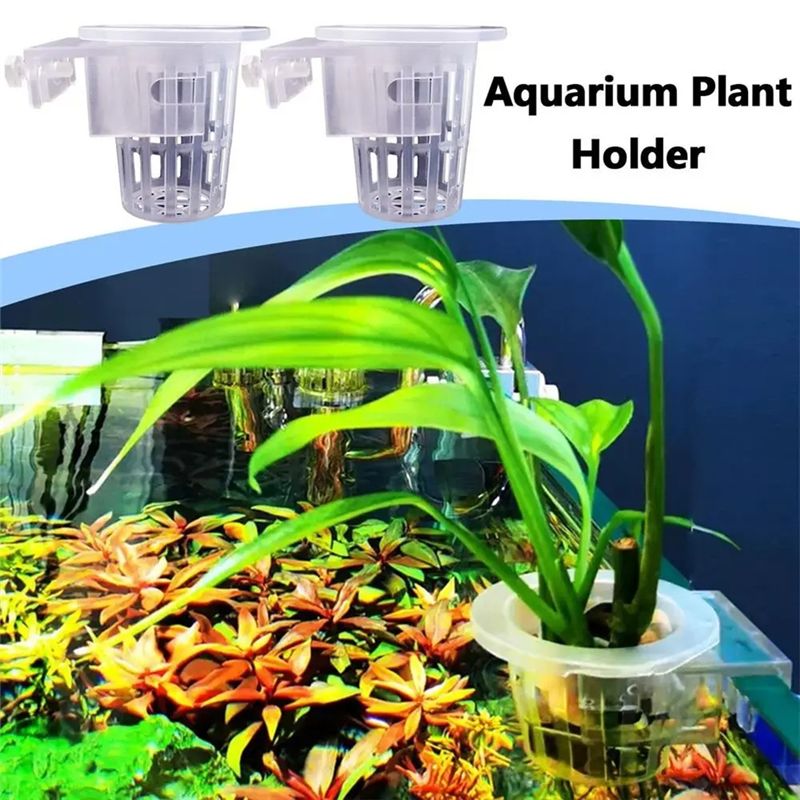 A7THK-2個入り 透明な水槽用プランターホルダー、高さ調 - Aquarium Plant Holder のレビューと価格