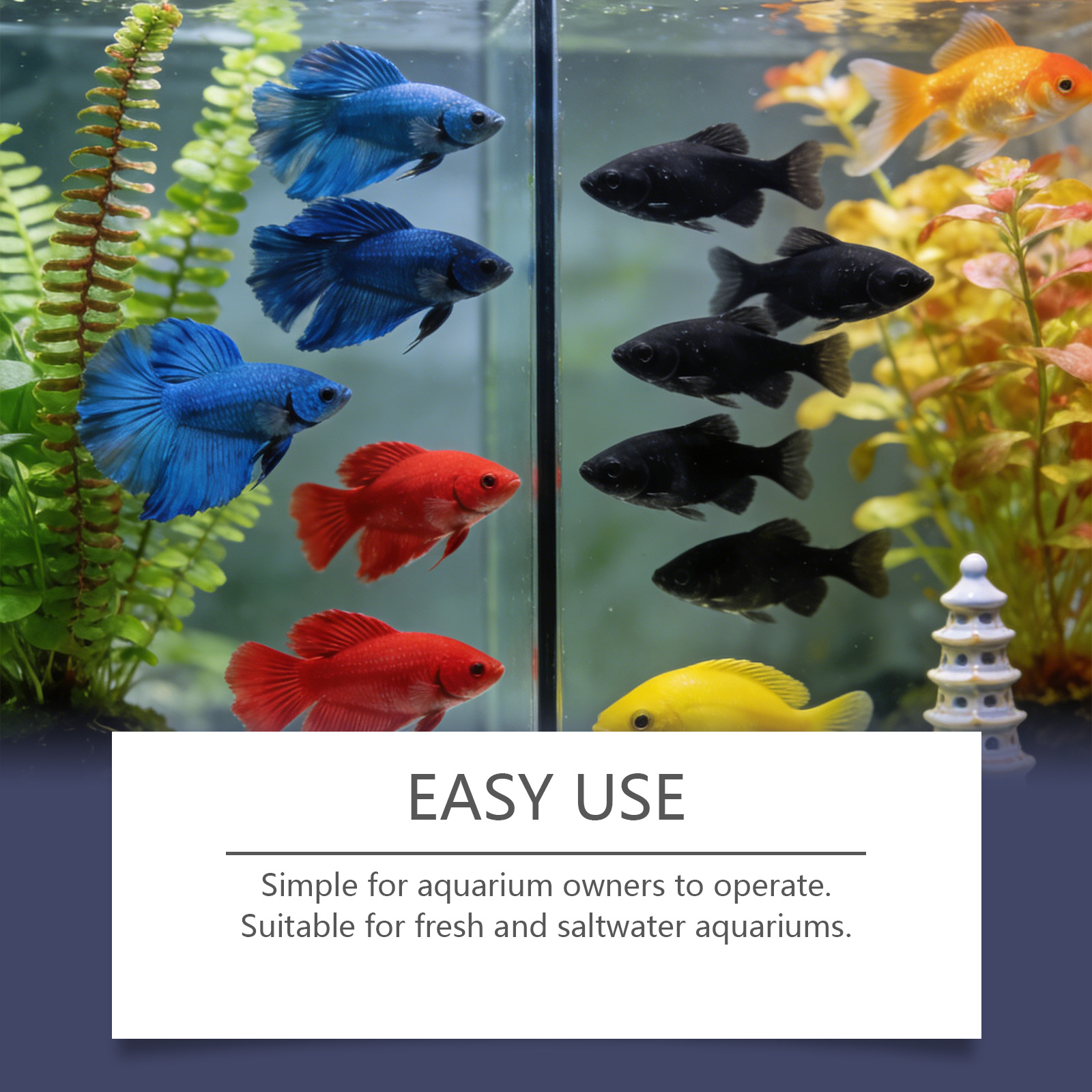 水槽用藻類除去タブレット、濁った緑色の水をすばやく浄化、藻類 - Planted Aquarium Algae Control のレビューと価格