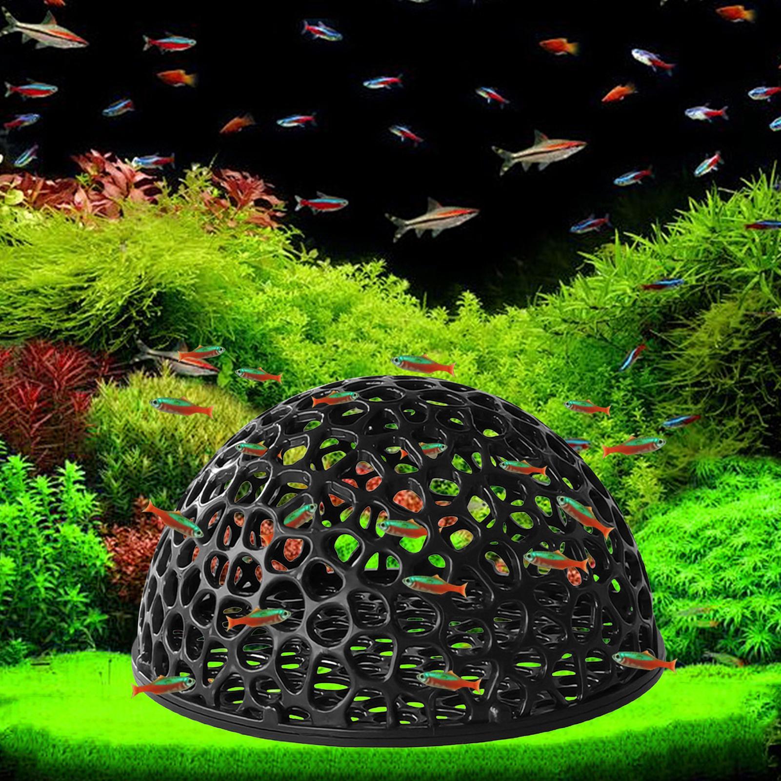 水槽用エビハウス 洞窟型 ミニ多孔質ベタハウス 魚の隠れ家  - Aquarium Plants Live のレビューと価格