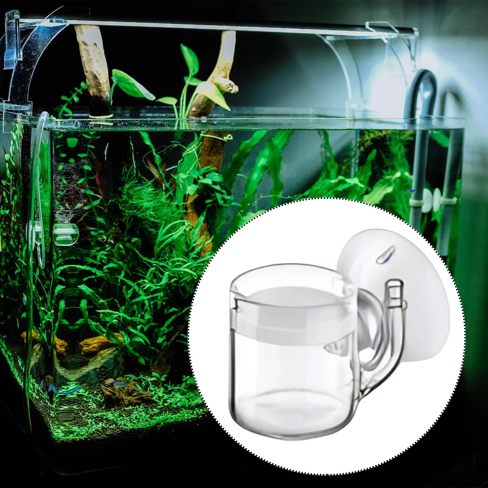 CO2拡散器、底面が平らで静音性に優れ、お手入れも簡単。水槽 - Planted Aquarium Cleaning のレビューと価格