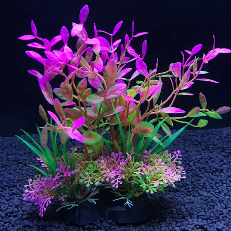 水族館人工装飾植物シミュレーション水雑草飾り水槽植物水雑草水 - Live Plant Aquarium のレビューと価格