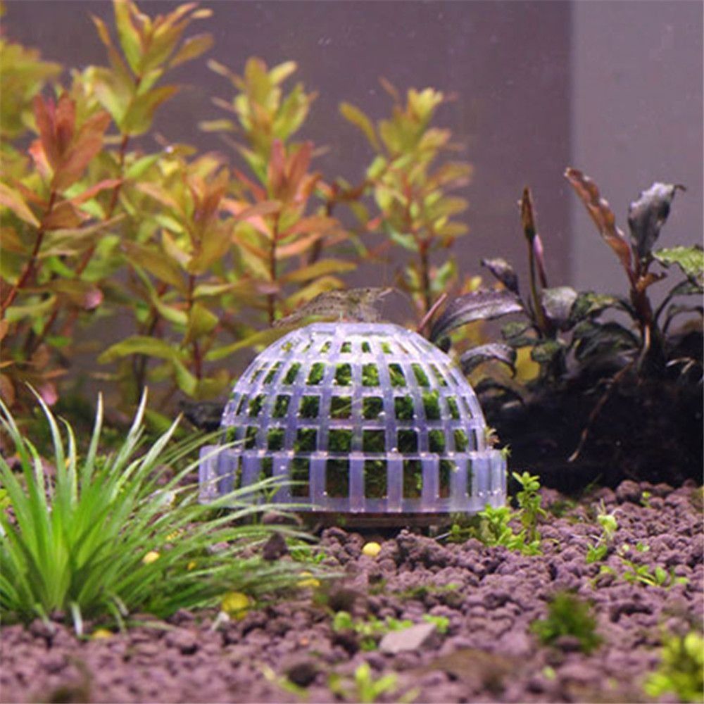 新しいプラスチック製サスペンションモスドーム半円形ホワイトマ - Aquarium Plants Live のレビューと価格