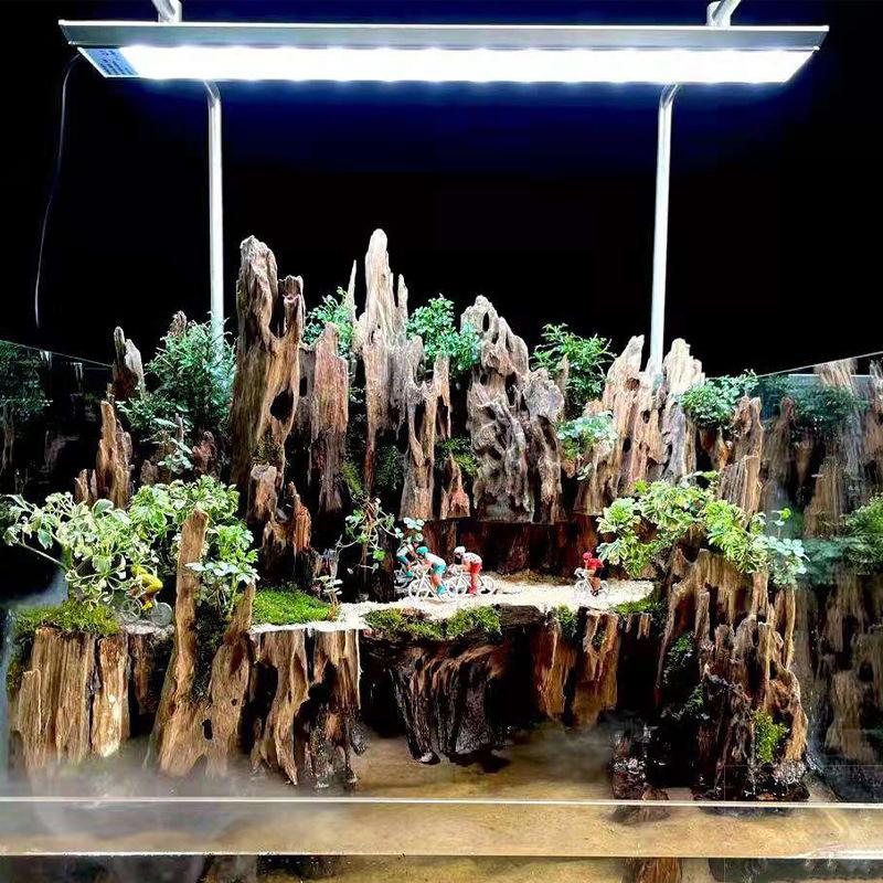 △   エビの木製水槽装飾品、天然の穴が付いた水槽用の流木水 - Aquarium Driftwood のレビューと価格