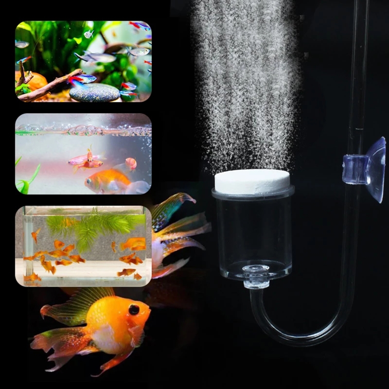 水族館用CO2ディフューザー,日曜大工のガラスタンク,バブル - Aquarium Liquid Carbon のレビューと価格